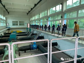 沙洋中小學(xué)生走進(jìn)自來(lái)水廠 體驗(yàn)生產(chǎn)流程 樹(shù)立節(jié)水意識(shí)